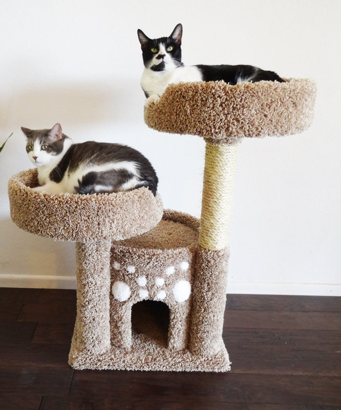 New Cat Condos 34" Premier Double Perch Solid Wood Cat Condo & Reviews